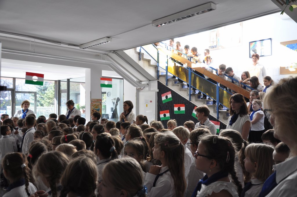 1956-os musor 23.JPG