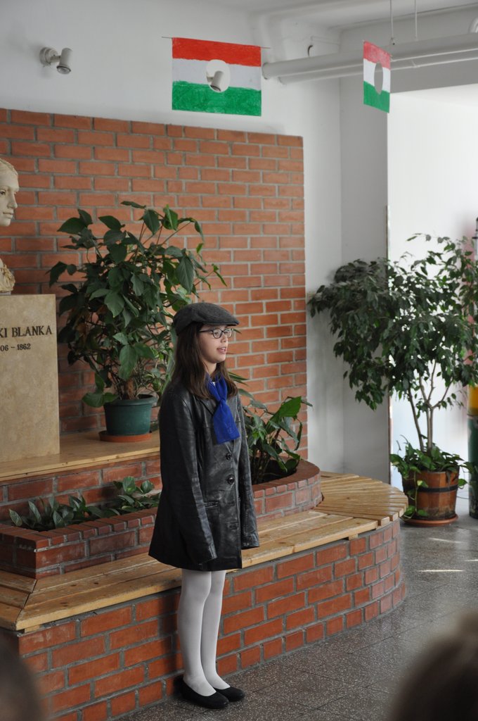 1956-os musor 27.JPG