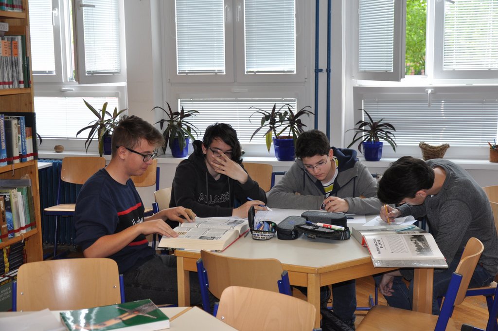 2019. Nyulkupa felsosok 011.JPG