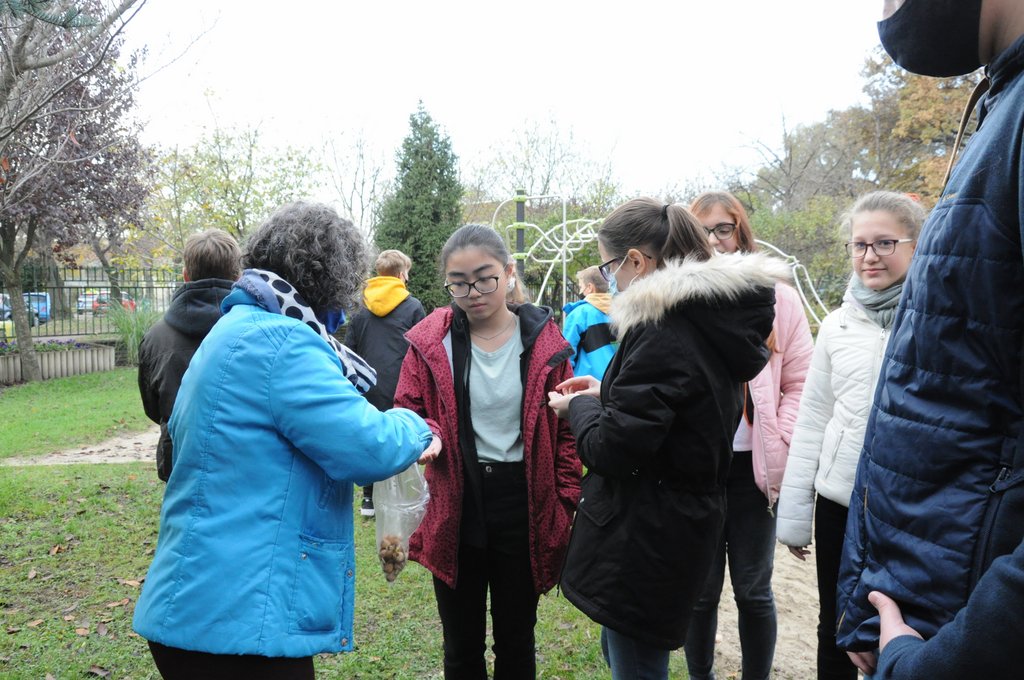 Krokusz projekt 8.b  2020 001.JPG