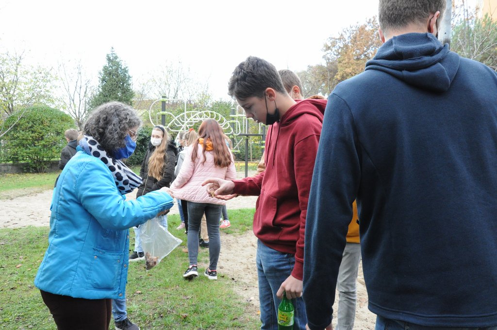 Krokusz projekt 8.b  2020 004.JPG