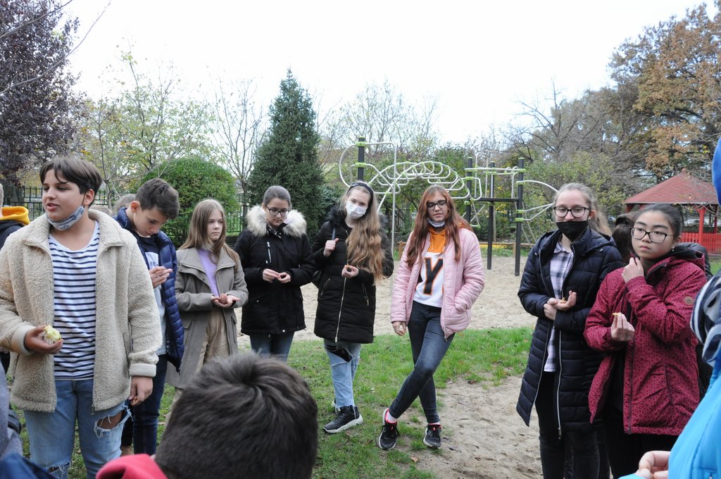 Krokusz projekt 8.b  2020 007.JPG
