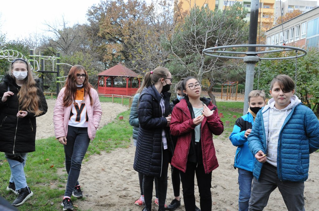 Krokusz projekt 8.b  2020 009.JPG