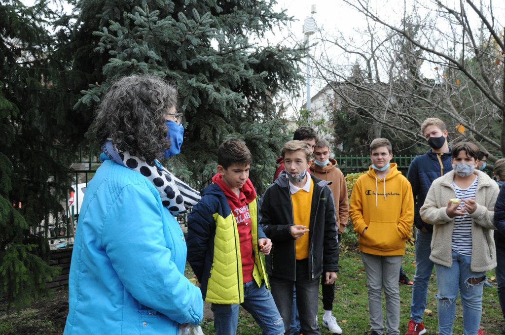 Krokusz projekt 8.b  2020 012.JPG