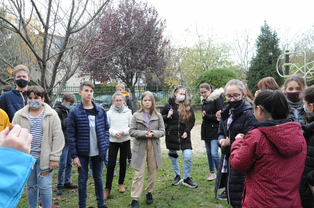 Krokusz projekt 8.b  2020 014.JPG