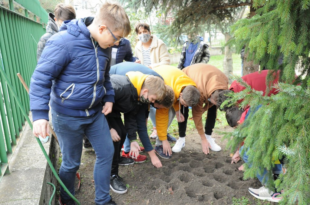 Krokusz projekt 8.b  2020 017.JPG