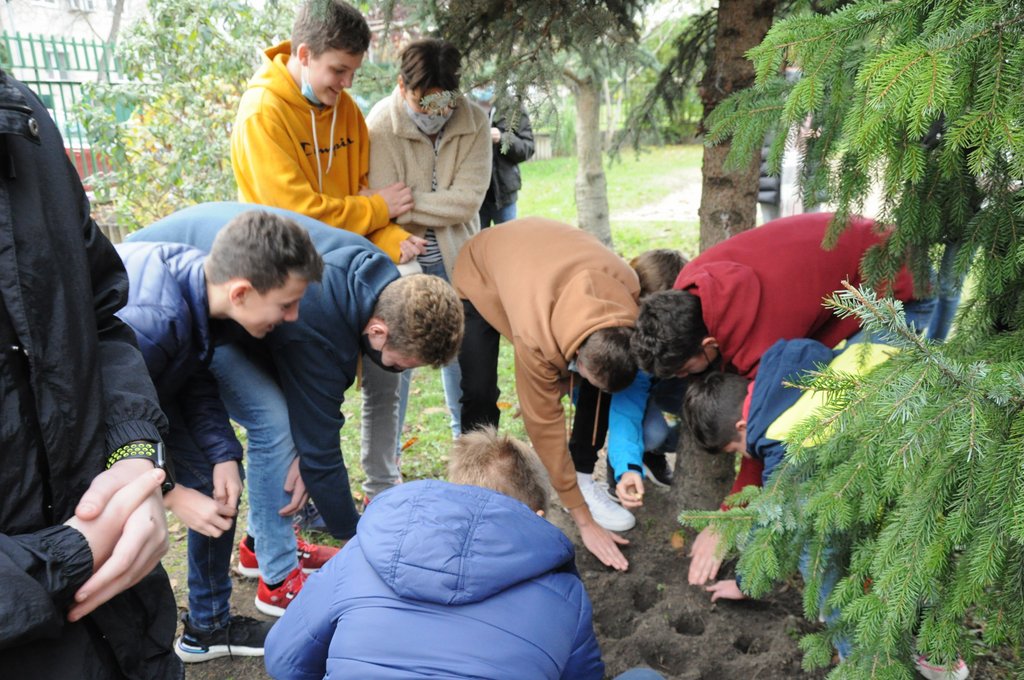 Krokusz projekt 8.b  2020 018.JPG