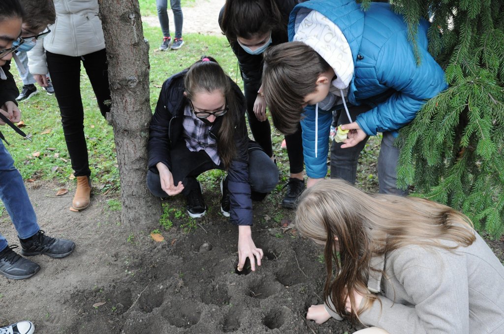 Krokusz projekt 8.b  2020 021.JPG
