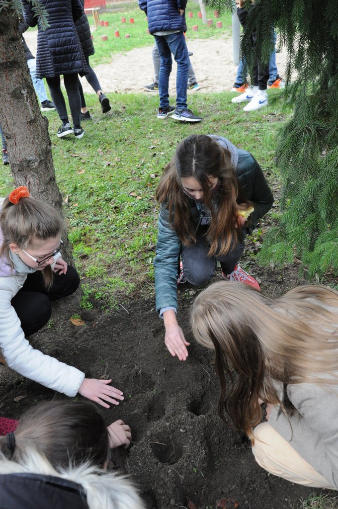 Krokusz projekt 8.b  2020 026.JPG