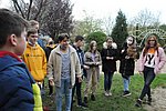 Krokusz projekt 8.b  2020 008.JPG