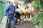 Krokusz projekt 8.b  2020 017.JPG