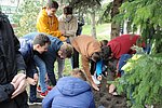 Krokusz projekt 8.b  2020 018.JPG