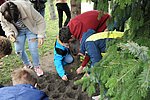Krokusz projekt 8.b  2020 019.JPG
