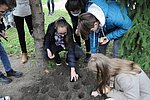 Krokusz projekt 8.b  2020 021.JPG