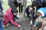 Krokusz projekt 8.b  2020 022.JPG