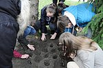 Krokusz projekt 8.b  2020 023.JPG