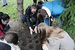 Krokusz projekt 8.b  2020 024.JPG