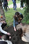 Krokusz projekt 8.b  2020 026.JPG
