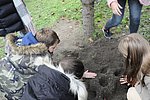 Krokusz projekt 8.b  2020 028.JPG