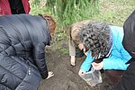 Krokusz projekt 8.b  2020 031.JPG