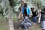 Krokusz projekt 8.b  2020 033.JPG