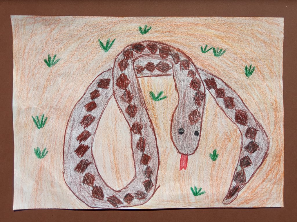 Percze_Gréta_3.b_Keresztesvipera.jpg