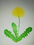 Bódis_Panna_4.a_Pongyolapitypang.jpg