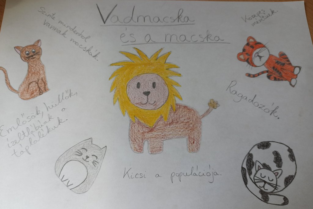 6.b_Ináncsi_Zsófi_kedvenc_állatom.jpg