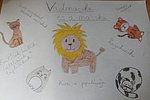 6.b_Ináncsi_Zsófi_kedvenc_állatom.jpg