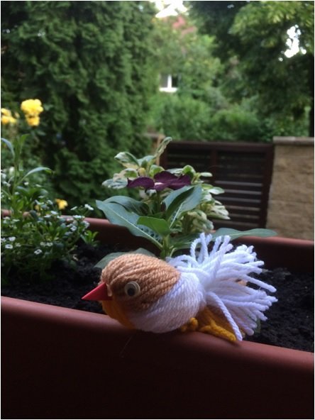 6a_Illés Gergő3.jpg