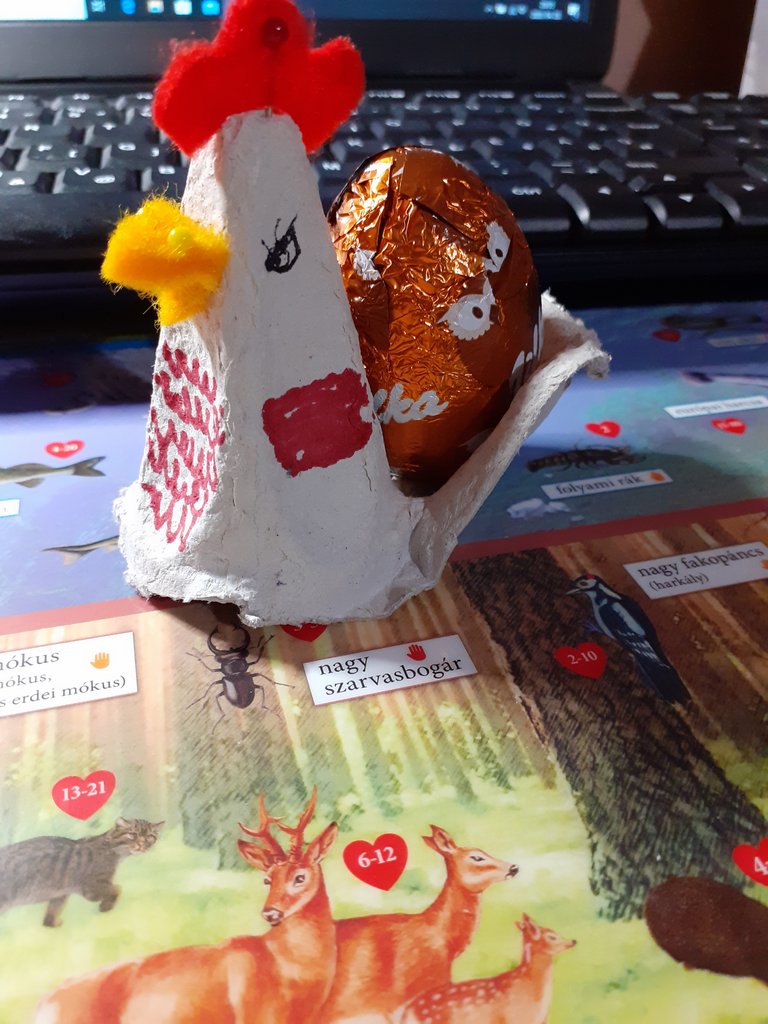 6a_Illyés Bálint.jpg