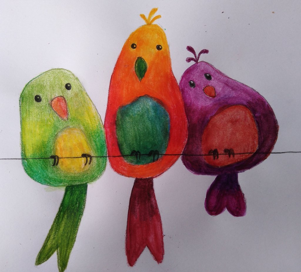 6a_madarassy viola3.jpg