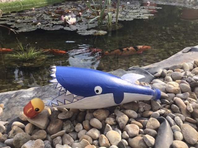 6b_semptei ádám3.jpg