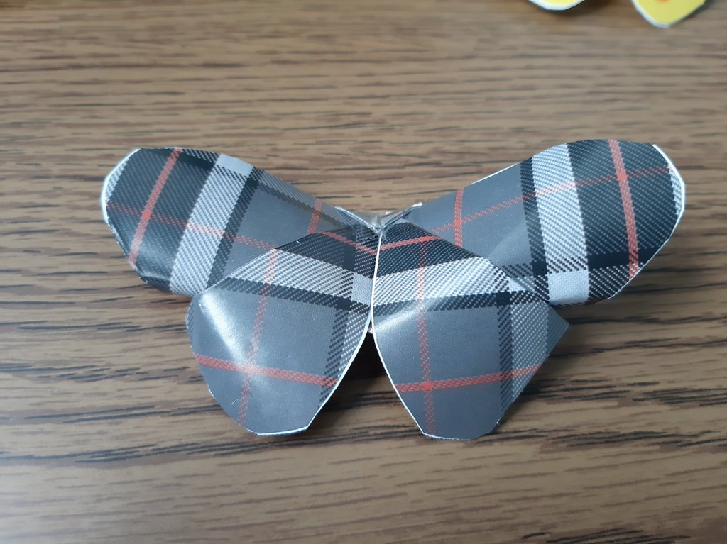 6c_ackermann áron3.jpg